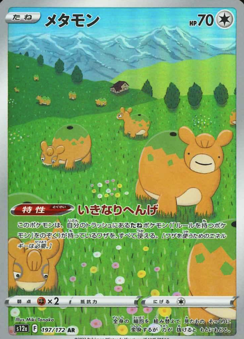 197/172 AR Ditto