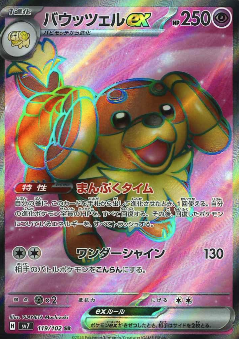 119/102 SR Dachsbun ex