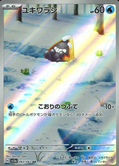 063/062 AR Snorunt