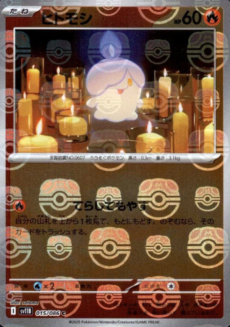 015/086 Master Ball Litwik