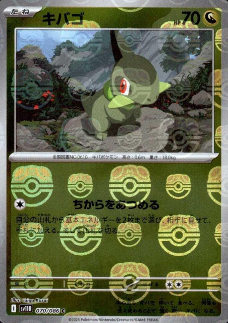 070/086 Master Ball Axew