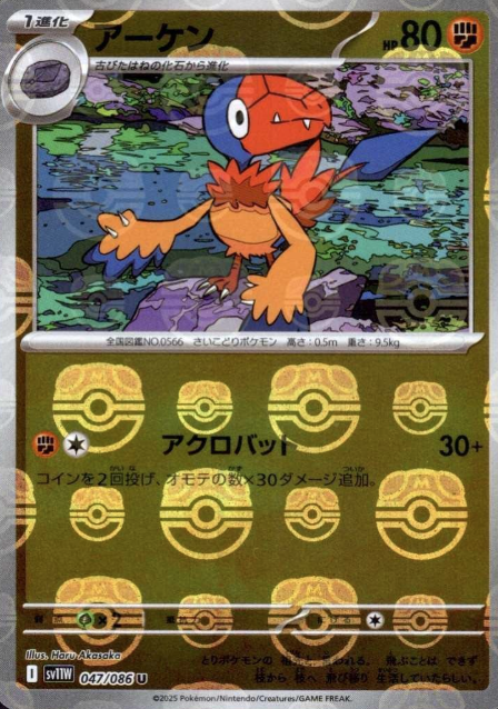 047/086 Master Ball Archen