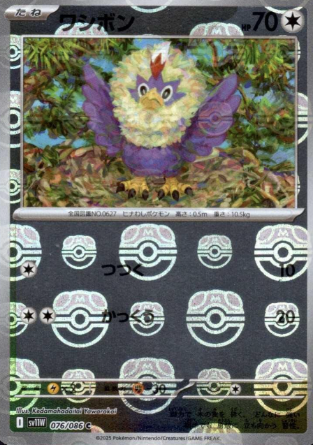 076/086 Master Ball Rufflet