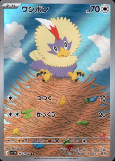 156/086 AR Rufflet