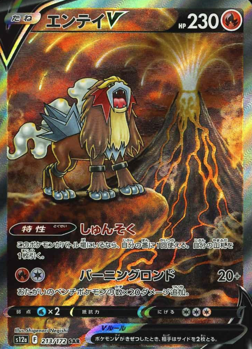 213/172 SAR Entei V