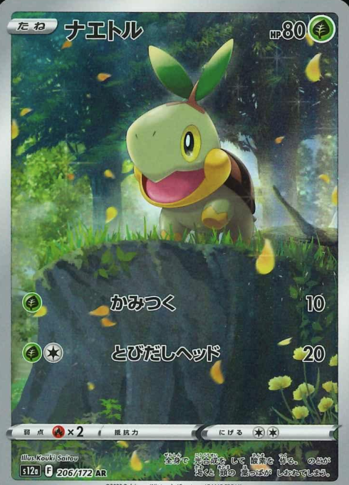 206/172 AR Turtwig