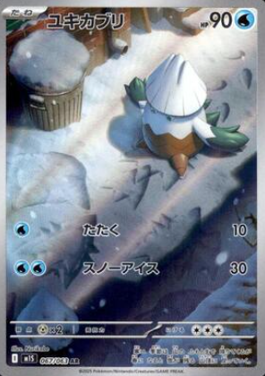 067/063 AR Snover