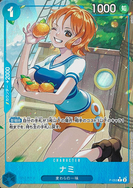 P-053 P-P Nami