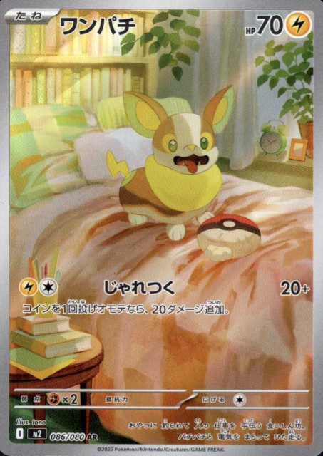 086/080 AR Yamper