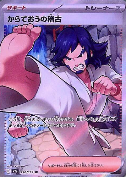 220/193 SR Black Belt's Training